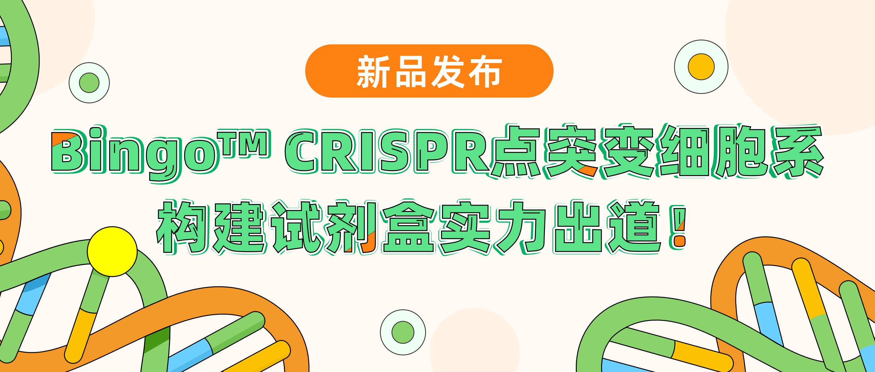 球盟会生物基因Bingo&trade; CRISPR点突变细胞系构建试剂盒实力&ldquo;出道&rdquo;！升级PE技术，高效编辑，快人一步享受极致命中率